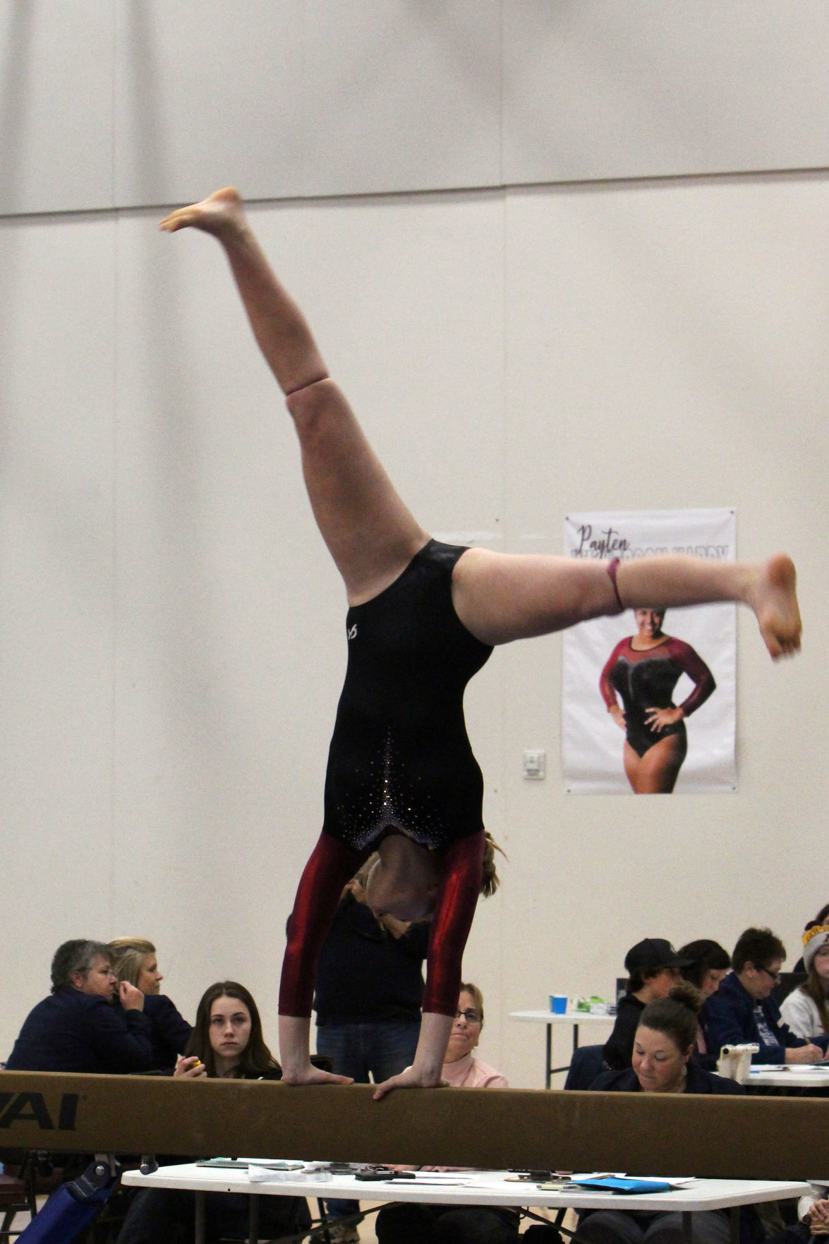 Big Rivers Conference Gymnastics Triangular at Menomonie 1-23-20